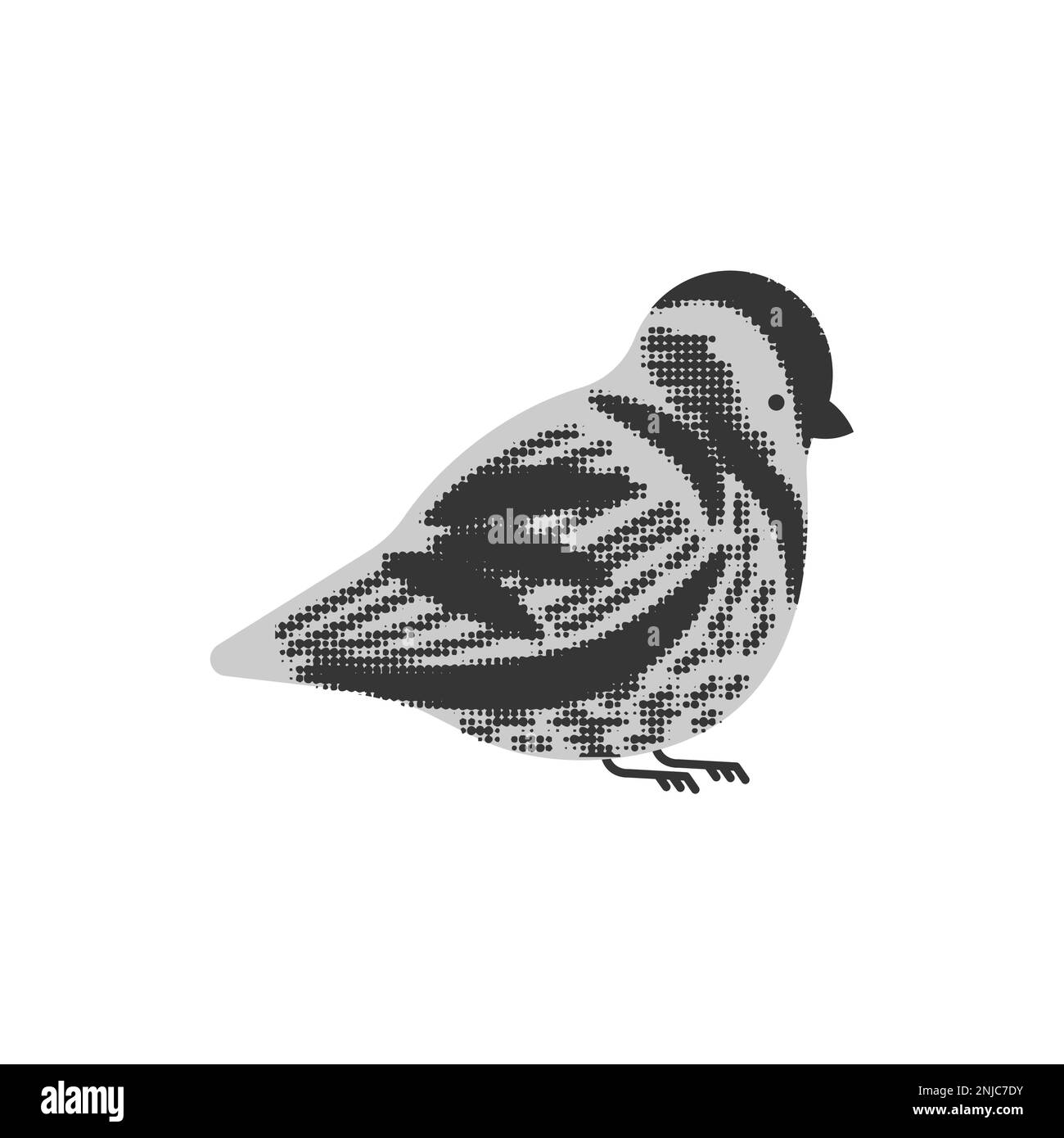 Sparrow isolé. Illustration du vecteur petit oiseau. Illustration de Vecteur