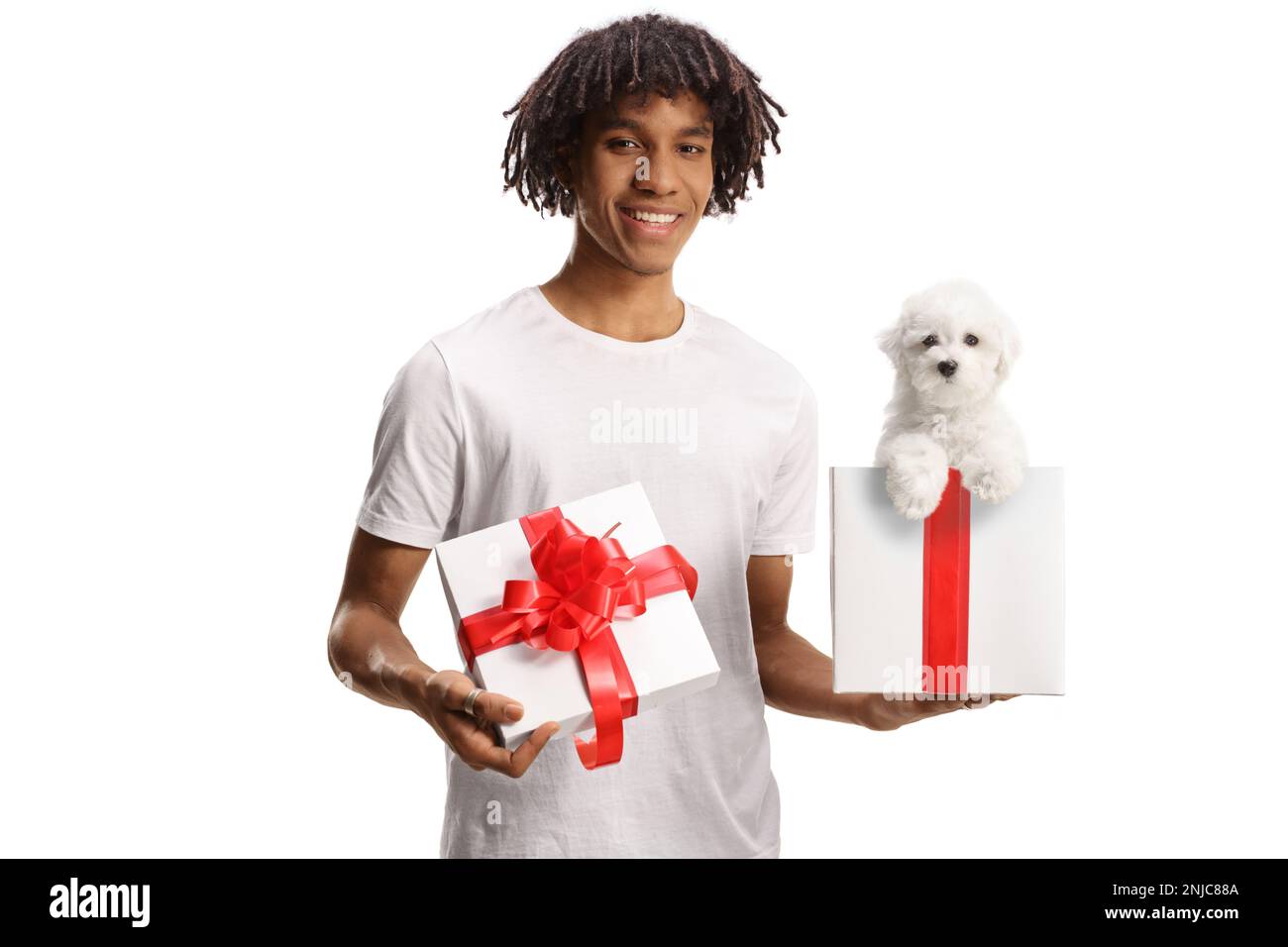 Jeune africain américain tenant une boîte cadeau avec un chien de fond bichon isolé sur fond blanc Banque D'Images