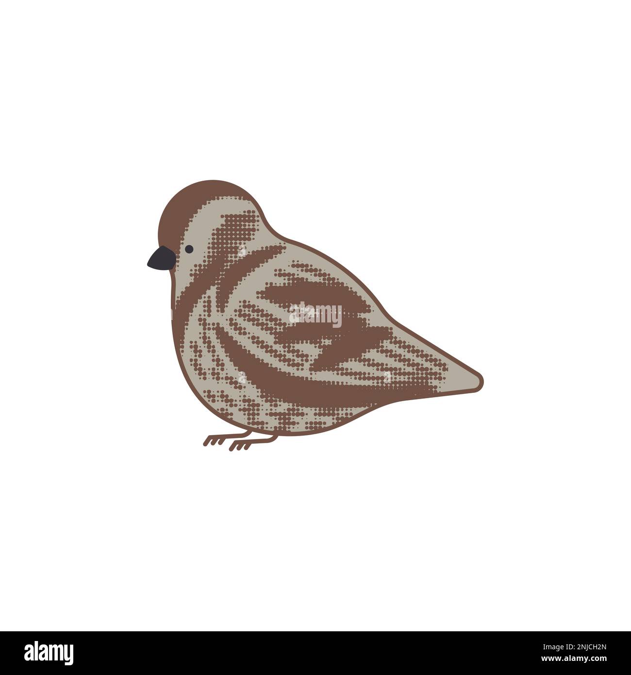 Sparrow isolé. Illustration du vecteur petit oiseau. Illustration de Vecteur
