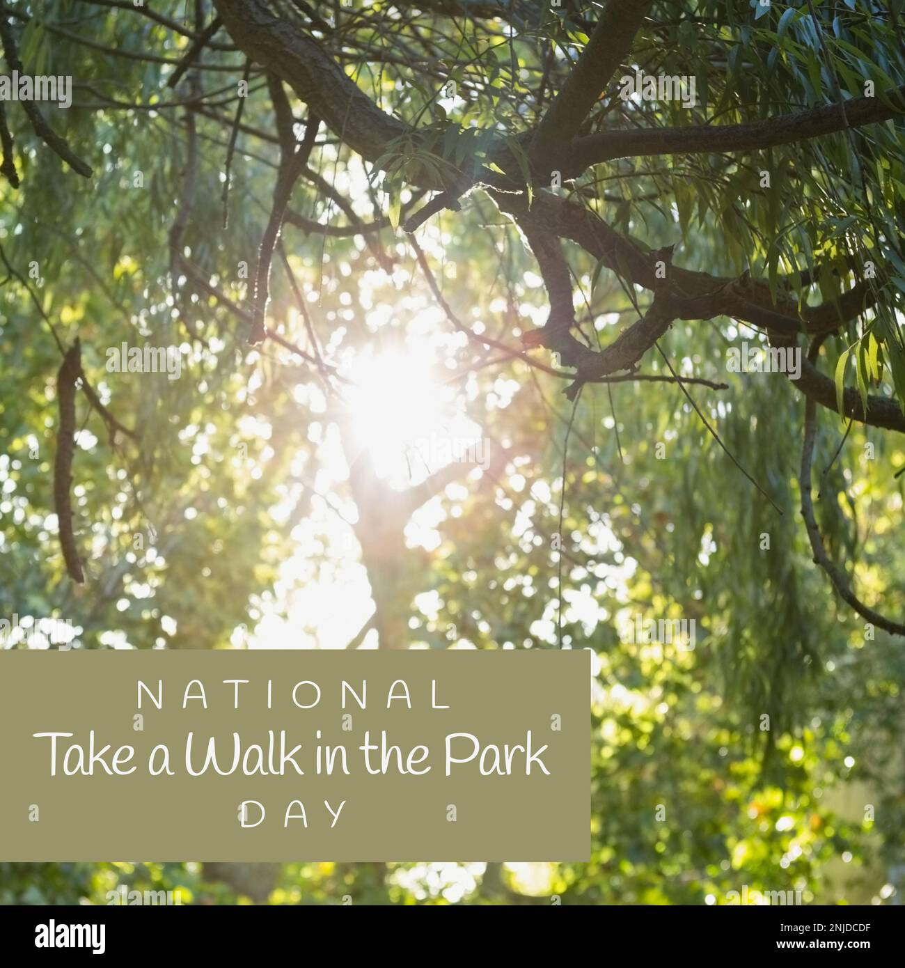 Composite de national faire une promenade dans le parc de jour texte dans le rectangle gris sur les arbres défocused Banque D'Images