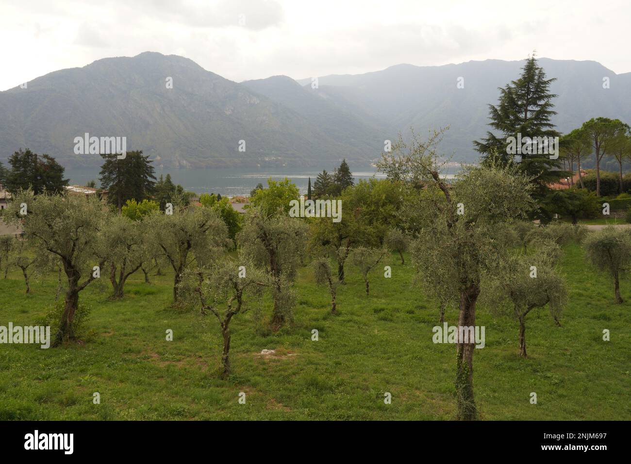 Vue sur le lac de Côme, Italie Banque D'Images