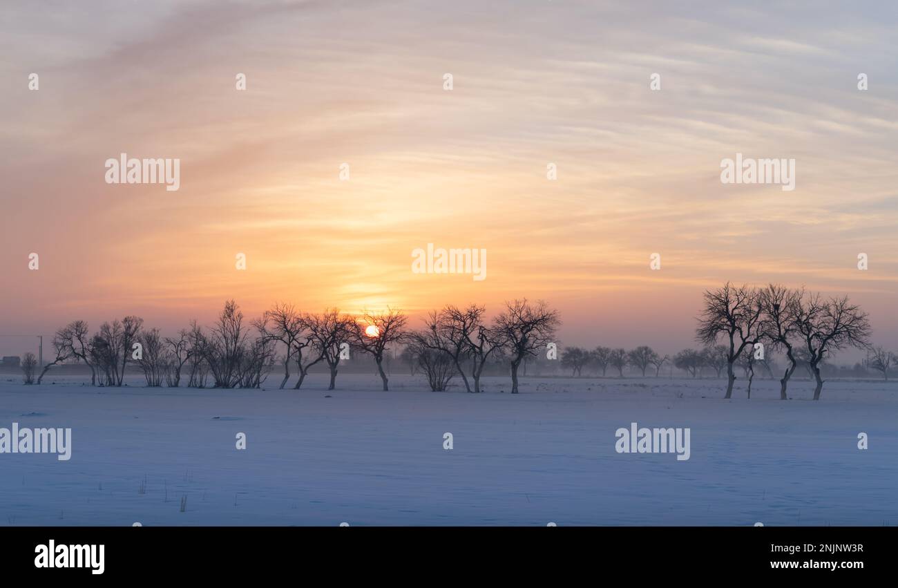 Journée d'hiver ensoleillée Banque D'Images