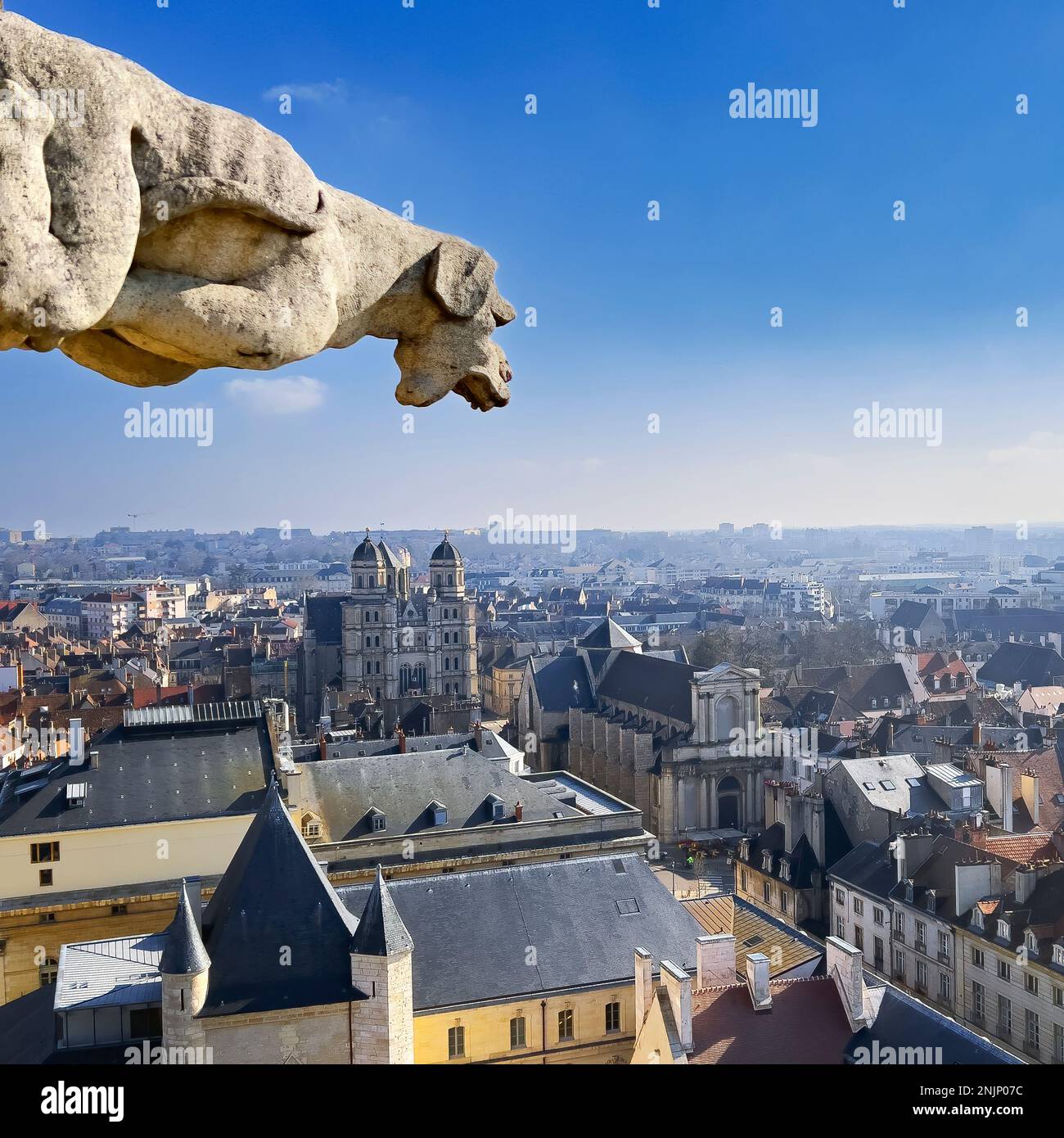 Vue sur le gargouille au sommet de l'hôtel de ville de Dijon, France Banque D'Images