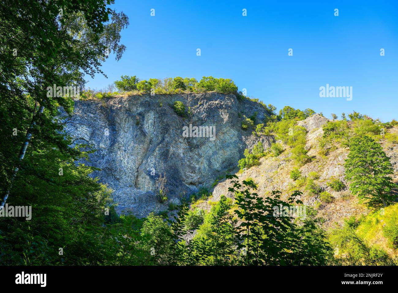 Carrière Hirzstein près de Kassel. Nature avec un visage de roche. Paysage près d'une carrière. Banque D'Images