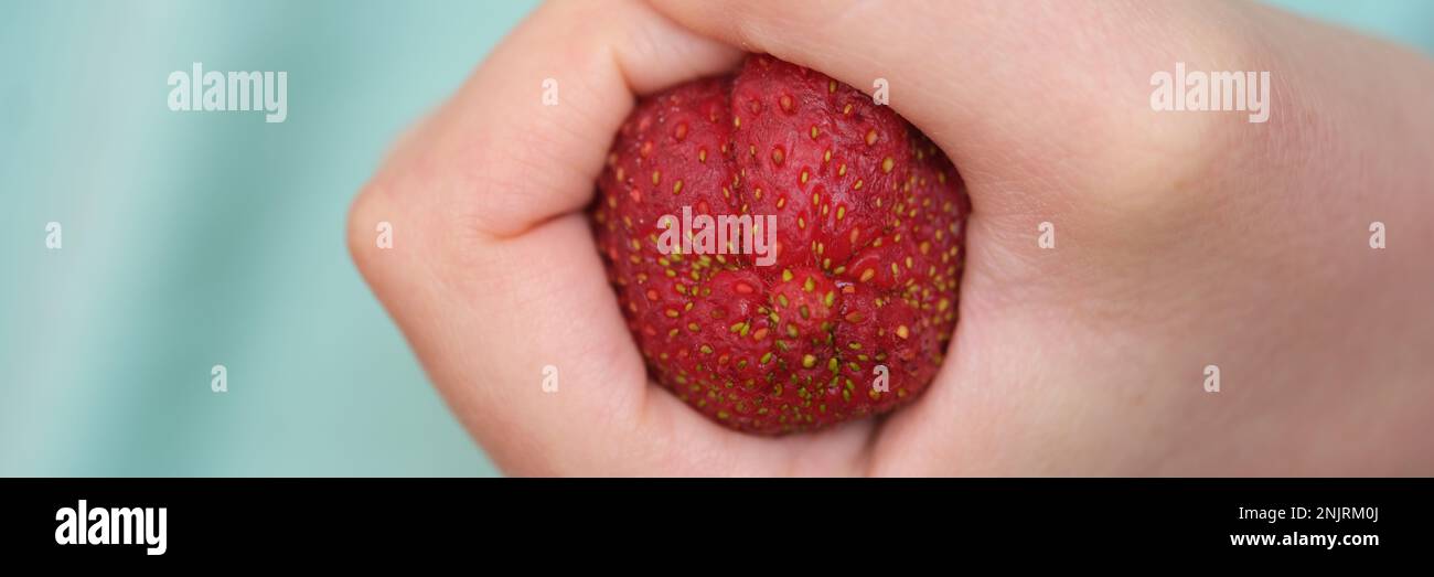 Fraises trempées dans le poing sous forme de constipation du côlon Banque D'Images