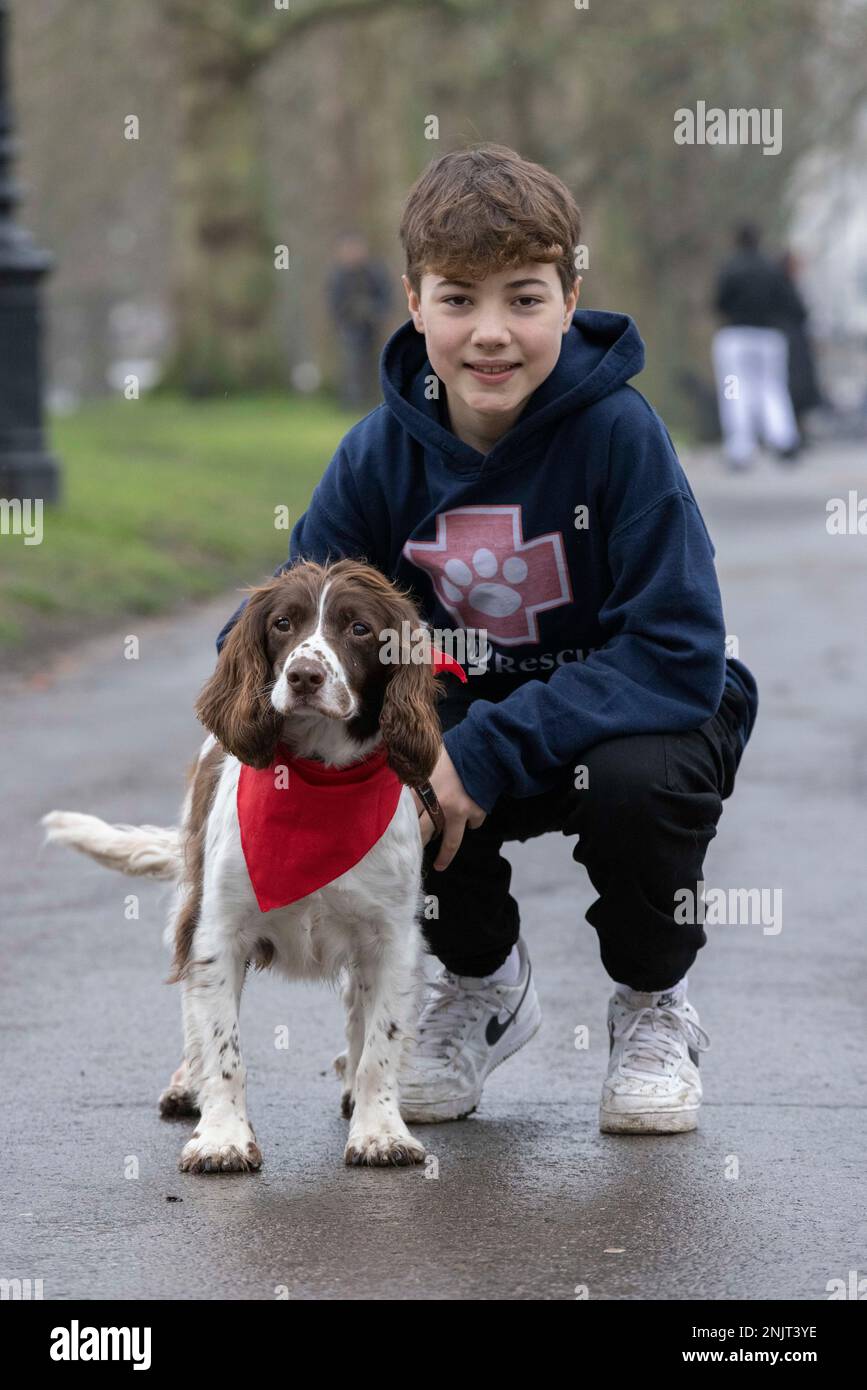 PHOTO:JEFF GILBERT 22nd février 2023 CINQ CHIENS QUI CHANGENT LA VIE ONT ÉTÉ DÉVOILÉS COMME FINALISTES DANS LE PRIX DU HÉROS CRUFTS CHILDÕS CHAMPION - Springer Spaniel, Bernie et son ami de collecte de fonds, Ashley Owens. Ashley et son chien Bertie de Welwyn Garden City à Herts ont passé plus de 650 nuits à camper dans une tente dans le cadre de leur campagne de collecte de fonds « sommeil pour aider ». Banque D'Images