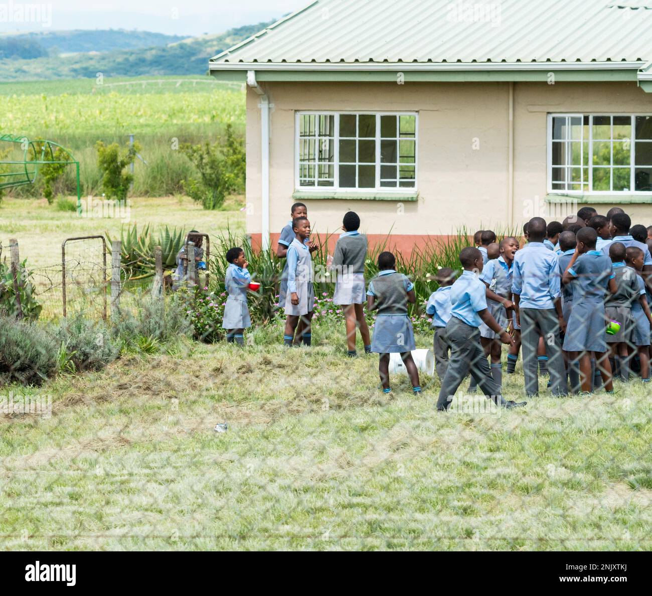 Jeunes enfants africains de l'école primaire junior en uniforme scolaire dans leurs terrains scolaires ruraux à Kwazulu Natal, Afrique du Sud Closeup concept Education Banque D'Images