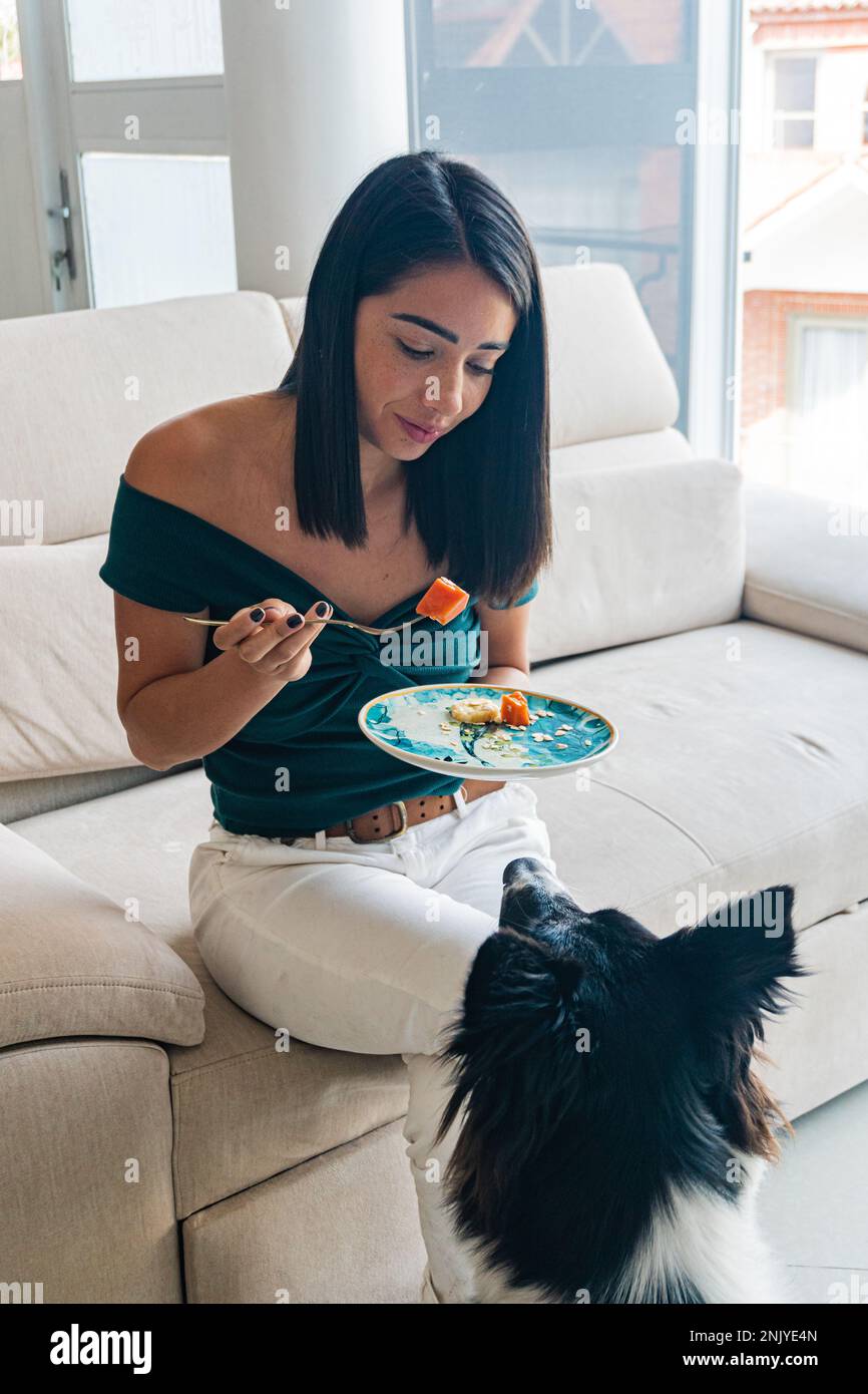 Grand angle de jeune femme hispanique affamée avec des cheveux foncés dans une tenue décontractée assis sur un canapé et manger de la nourriture délicieuse près de curieux adorable Border Collie Banque D'Images