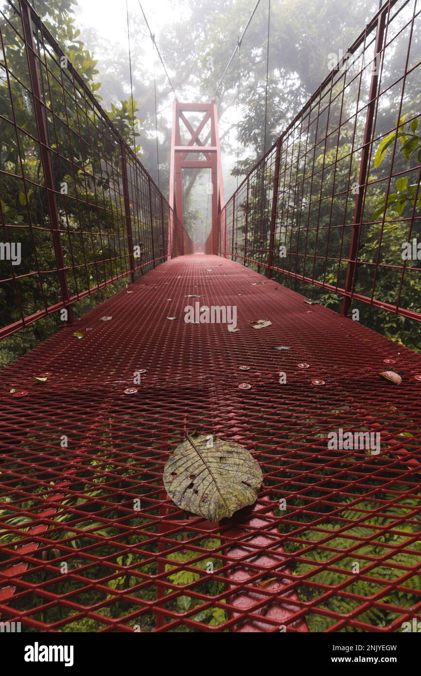 Longue passerelle étroite en suspension avec rails métalliques menant à des arbres verts en forêt au Costa Rica Banque D'Images