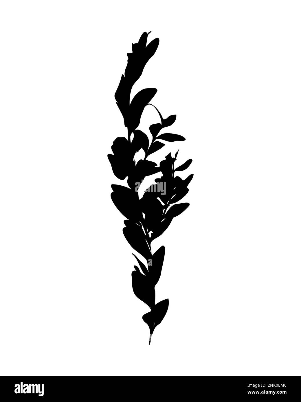 Silhouette de branche, empreinte, timbre de Ligustrum vulgare. Illustration vectorielle Illustration de Vecteur