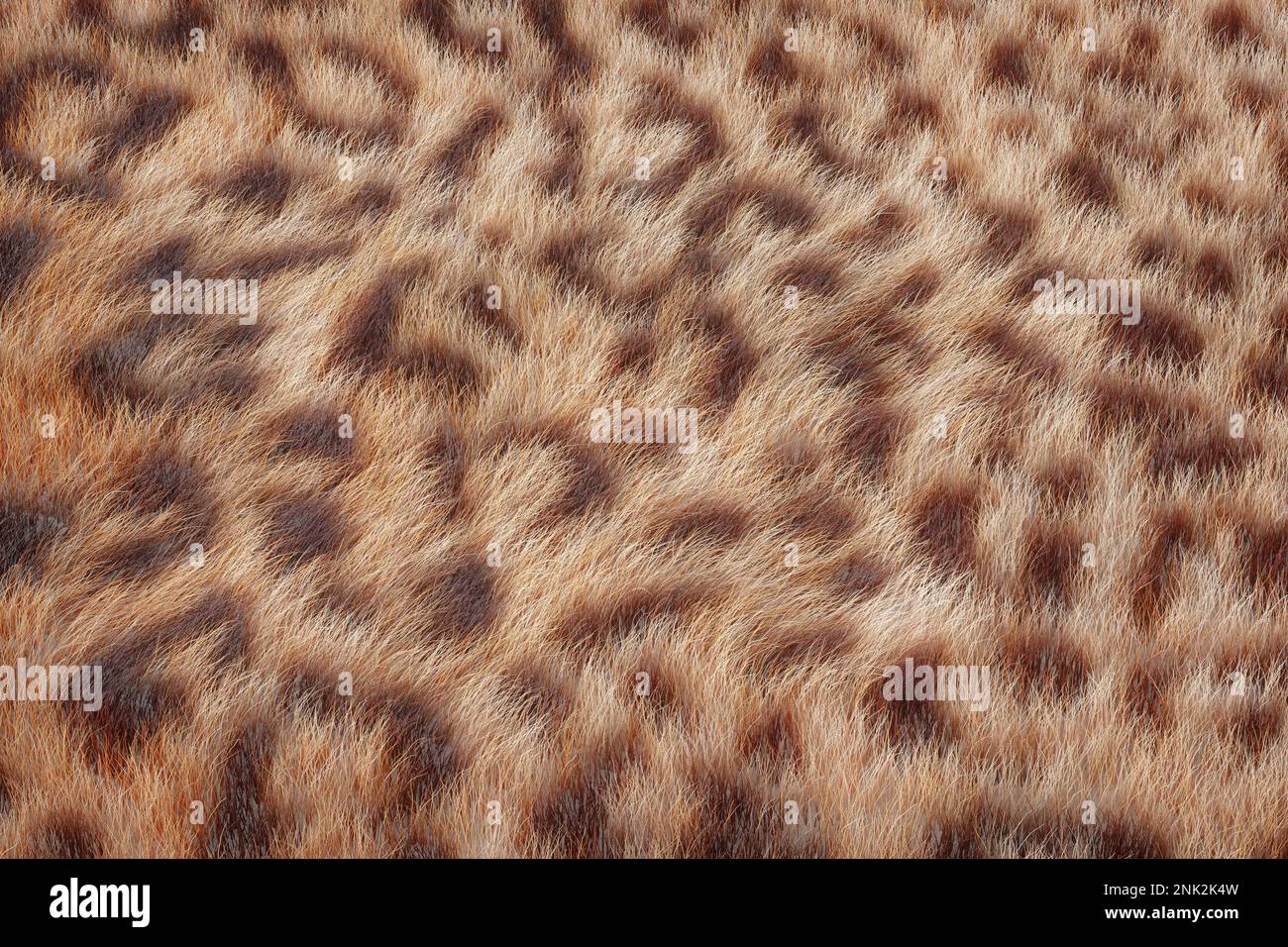 Léopard peau Real fourrure cheveux arrière-plan texture extrême gros plan. 3D rendu Banque D'Images