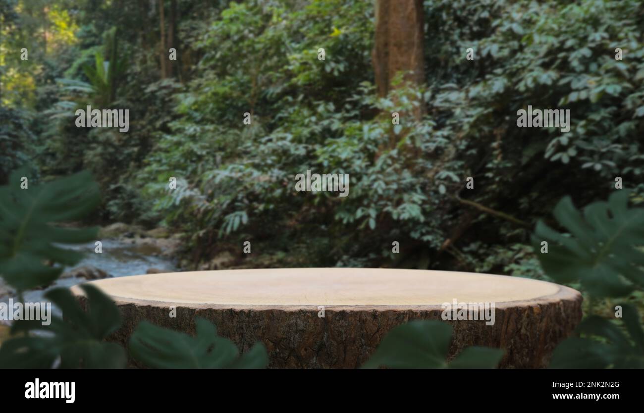 Podium en bois de table à l'extérieur frais vert luxuriant forêt tropicale nature paysage background.Organic produit naturel sain présent placement pedes Banque D'Images