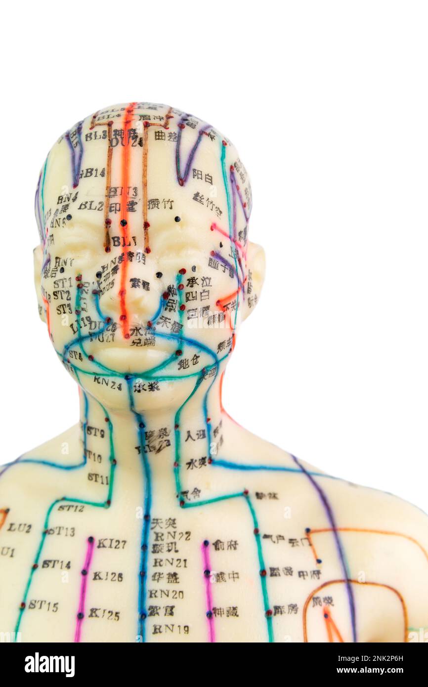 Vue de face de la tête d'un modèle d'acupuncture médicale de l'homme isolé sur fond blanc Banque D'Images