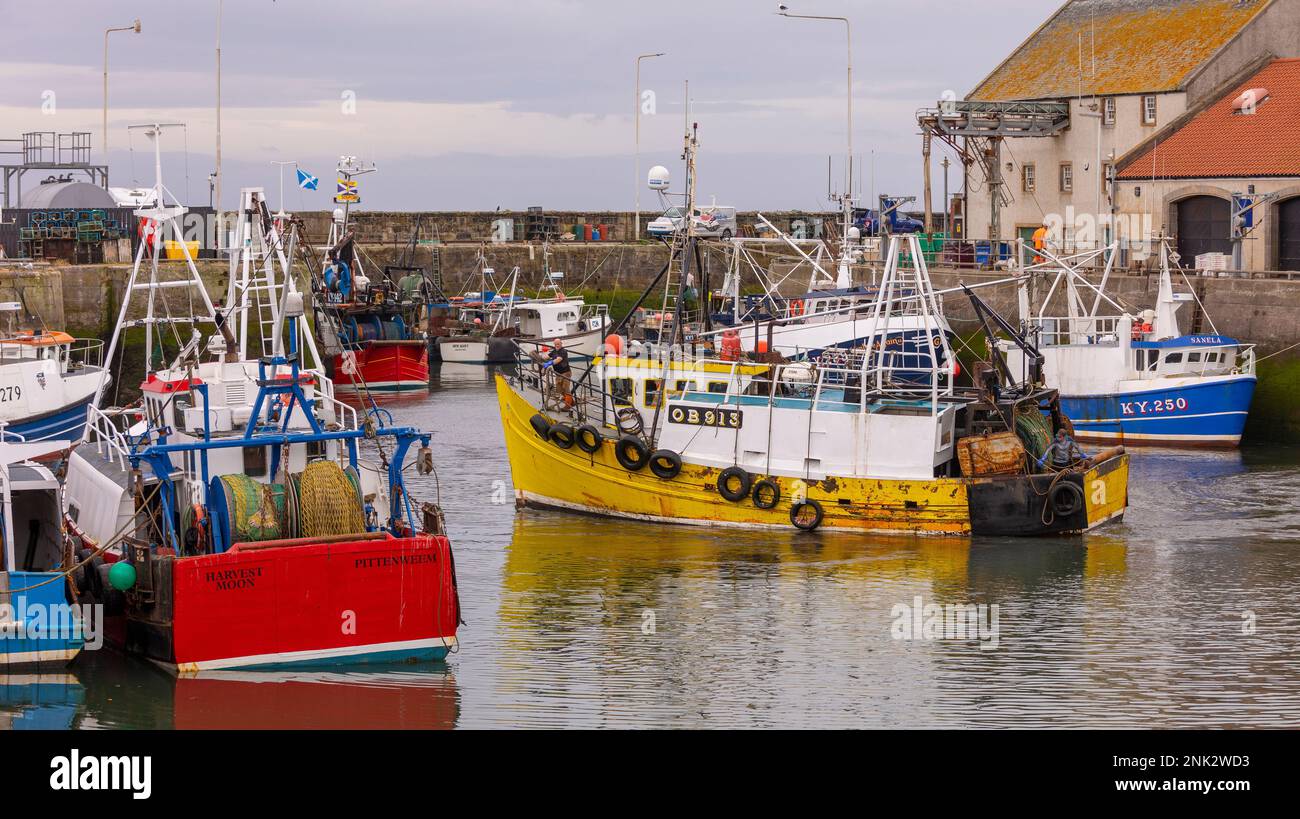 PITTENWEEM HARBOUR, ÉCOSSE, EUROPE - Bateaux de pêche commerciaux, village de pêche sur la côte est de l'Écosse, Neuk est. Banque D'Images