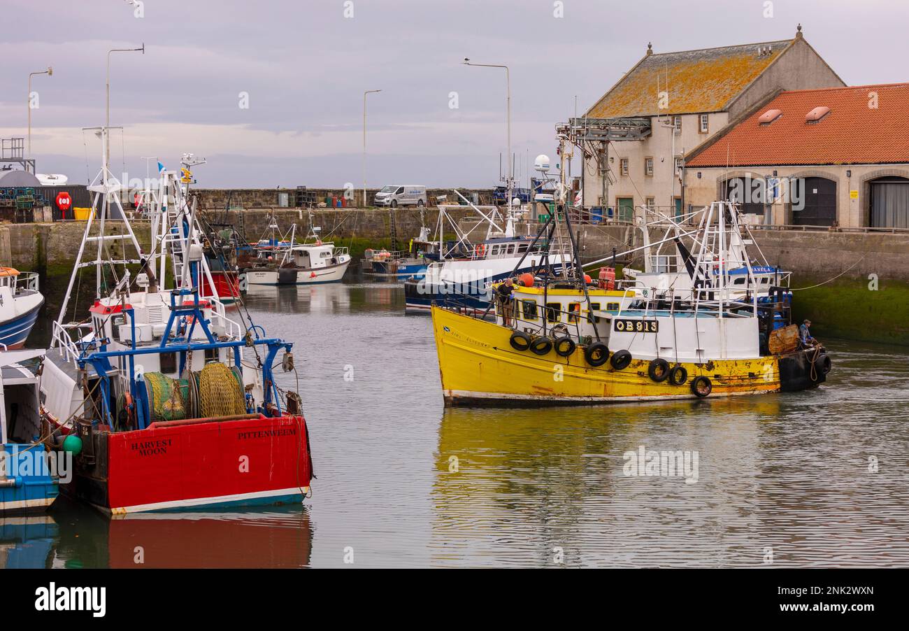 PITTENWEEM HARBOUR, ÉCOSSE, EUROPE - Bateaux de pêche commerciaux, village de pêche sur la côte est de l'Écosse, Neuk est. Banque D'Images