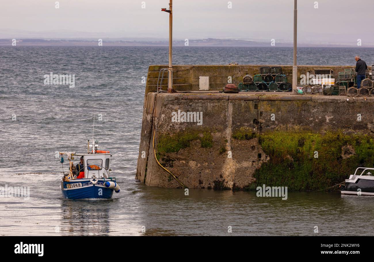 PORT DE ST MONANS, FIFE, ÉCOSSE, EUROPE - un petit bateau commercial entre dans le port de l'ancien village de pêcheurs historique, à Neuk est. Banque D'Images