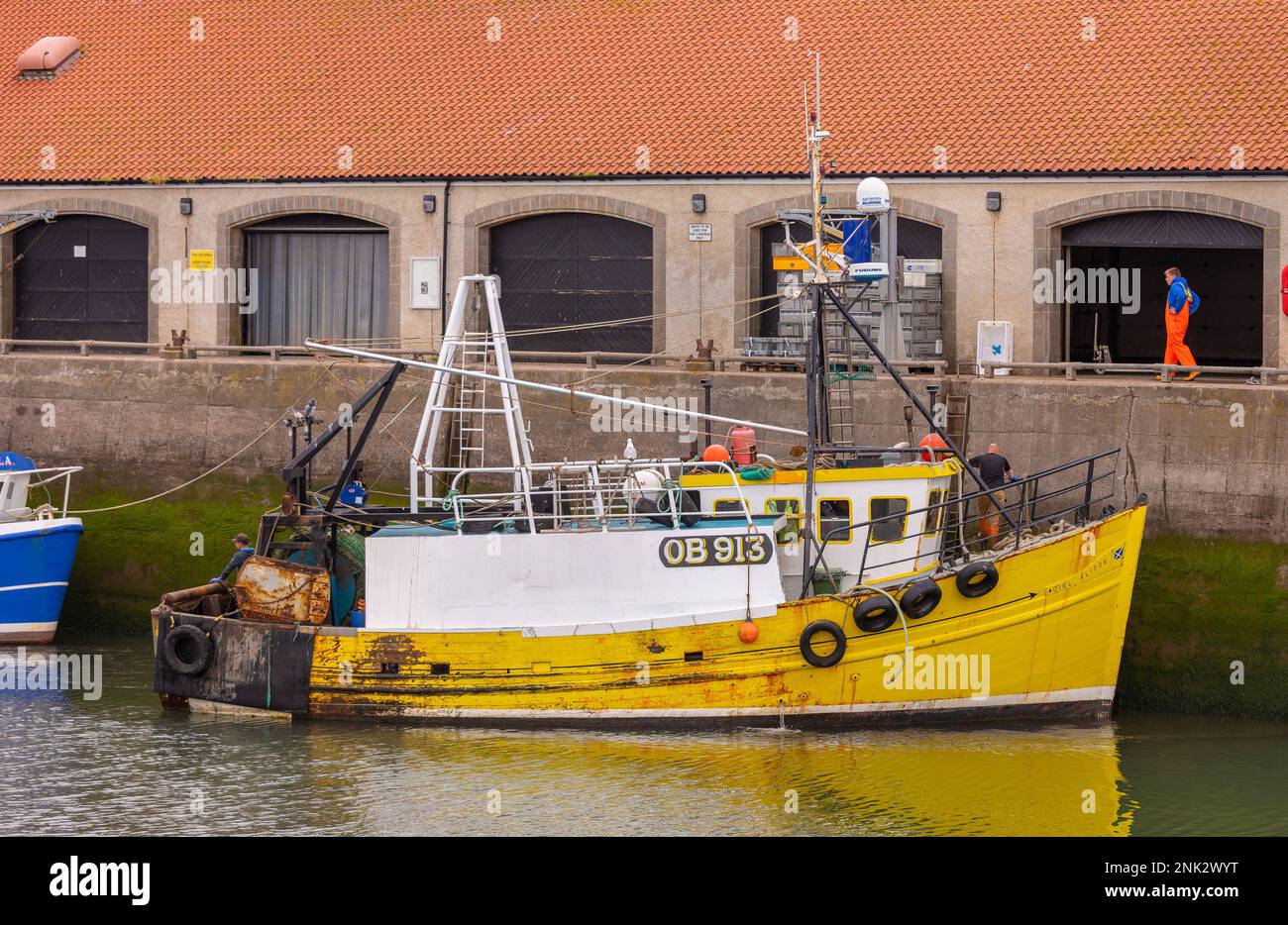PITTENWEEM HARBOUR, ÉCOSSE, EUROPE - bateau de pêche commercial, village de pêche sur la côte est de l'Écosse, Neuk est. Banque D'Images