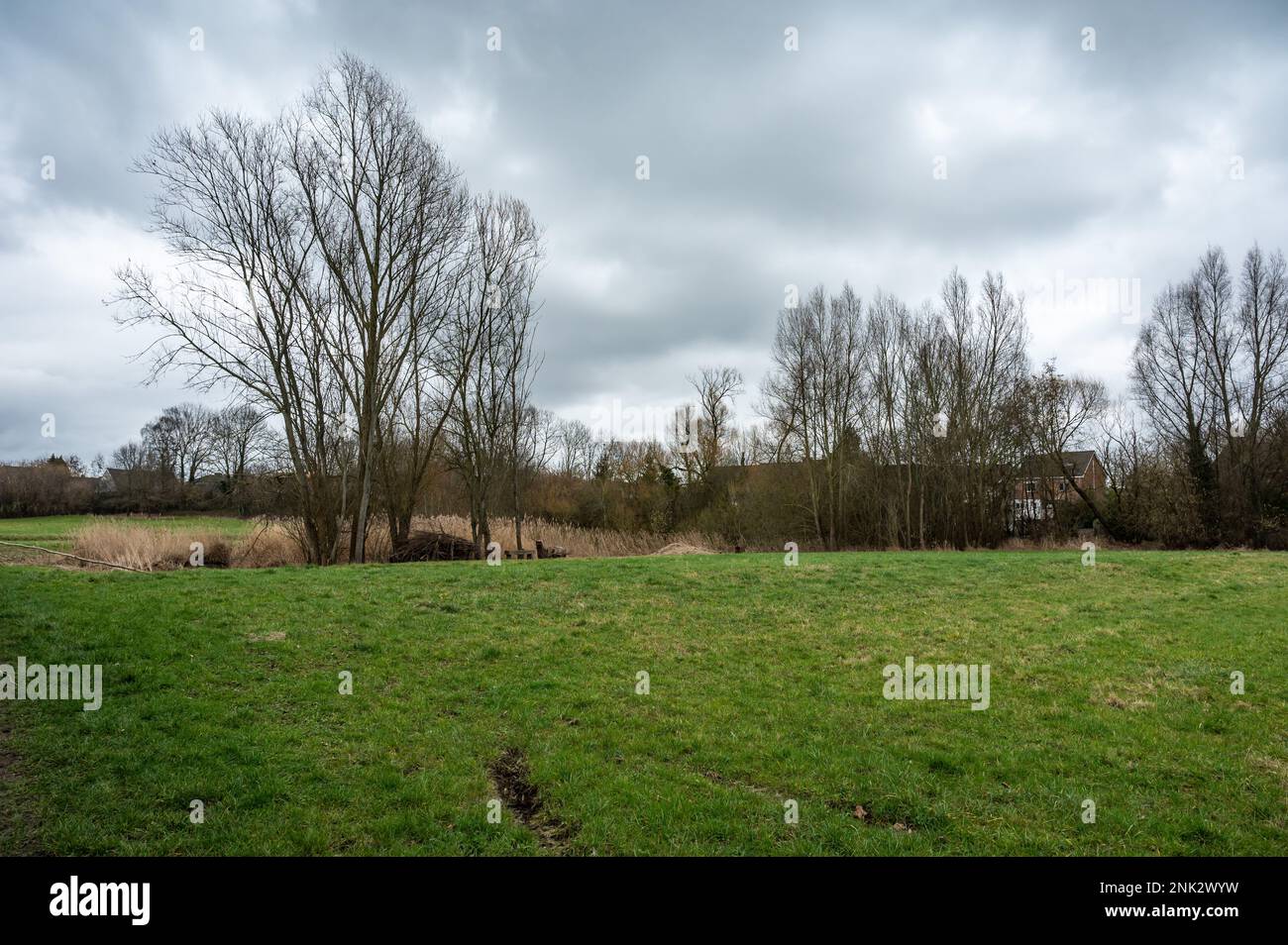 Prairies verdoyantes et arbres de la réserve naturelle d'une vallée de la crique, Grimbergen, région du Brabant flamand, Belgique Banque D'Images