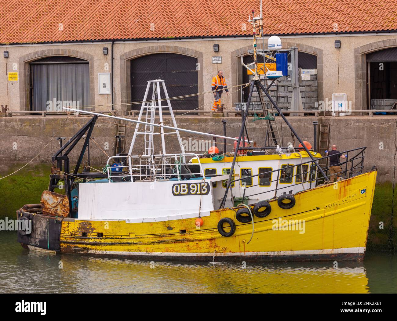 PITTENWEEM HARBOUR, ÉCOSSE, EUROPE - bateau de pêche commercial, village de pêche sur la côte est de l'Écosse, Neuk est. Banque D'Images