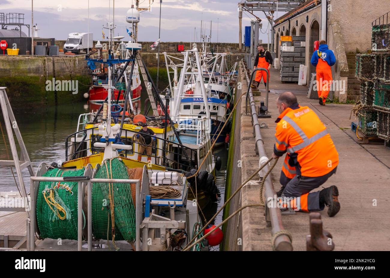 PITTENWEEM HARBOUR, ÉCOSSE, EUROPE - village de pêche sur la côte est de l'Écosse. Banque D'Images