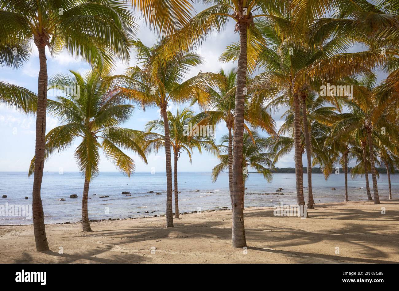 Photo d'une plage tropicale des Caraïbes, concept de vacances d'été. Banque D'Images