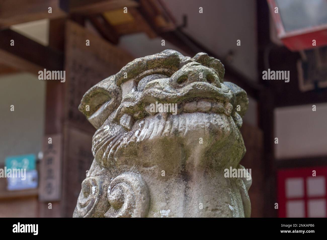 Komainu, ou lion-dog, statue à Asanogawa inari jinja, Kanazawa, Japon. Banque D'Images