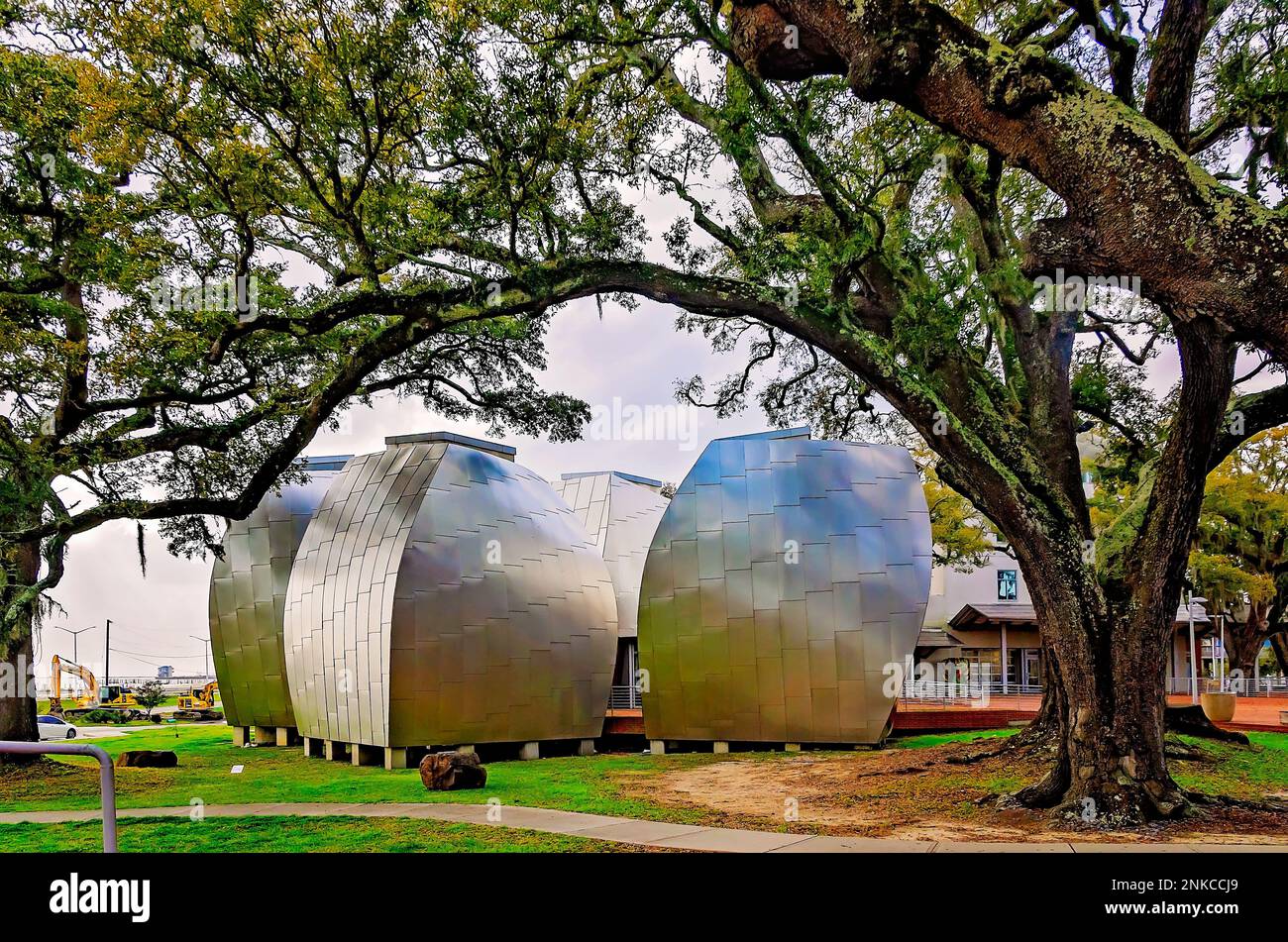 Quatre gousses en acier inoxydable conçues par l’architecte Frank Gehry sont photographiées au Musée d’art de l’OHR-O’Keefe, le 22 février 2023, à Biloxi, Mississippi. Banque D'Images