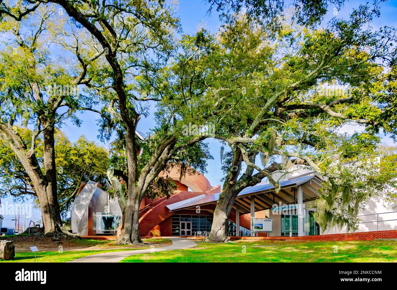 Le Musée d’art de l’OHR-O’Keefe, conçu par l’architecte Frank Gehry, est photographié, le 22 février 2023, à Biloxi, Mississippi. Banque D'Images