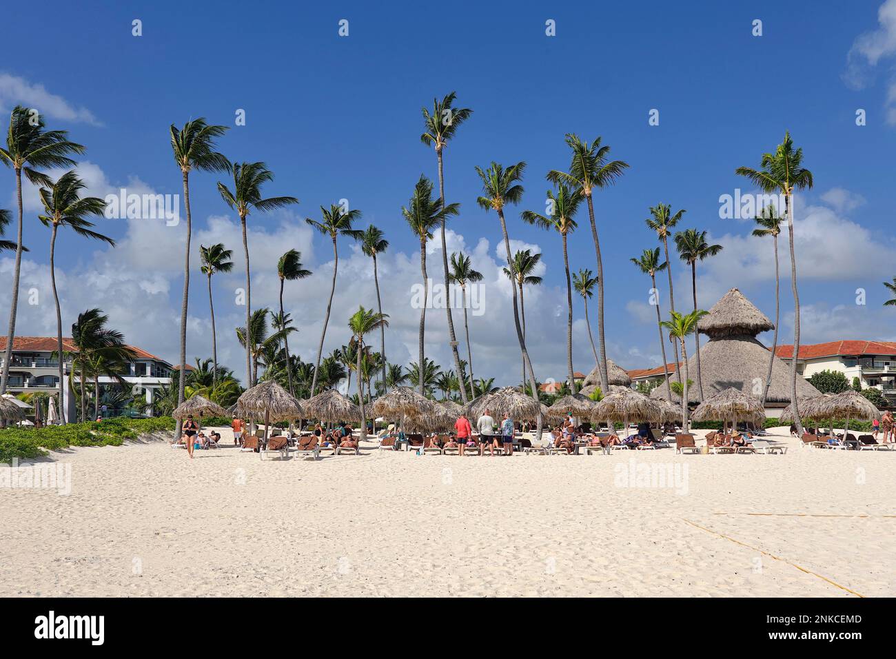Bar à feuilles de palmier et parasols, plage de Los Corales Bavaro, Punta Cana, République dominicaine, Caraïbes, Amérique centrale Banque D'Images