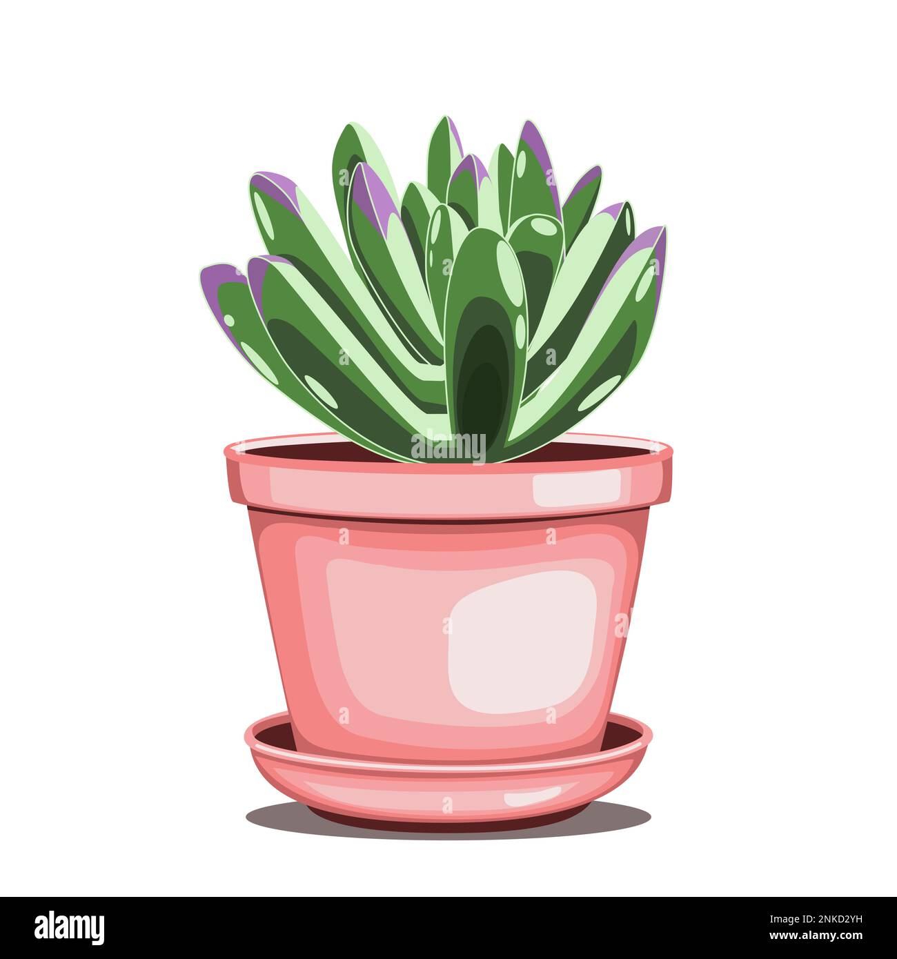 Neige plante de panda kalanchoe blanche en pot de céramique en technique plate Illustration de Vecteur