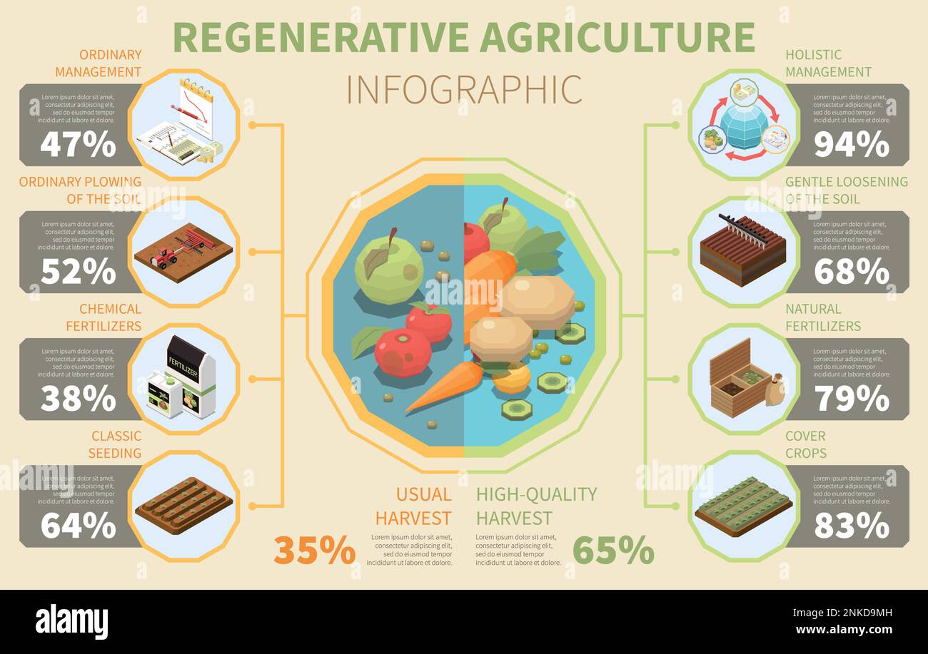 Infographiques de l'agriculture régénératrice avec fruits et légumes biologiques et symboles holistiques de gestion des écosystèmes illustration vectorielle isométrique Illustration de Vecteur