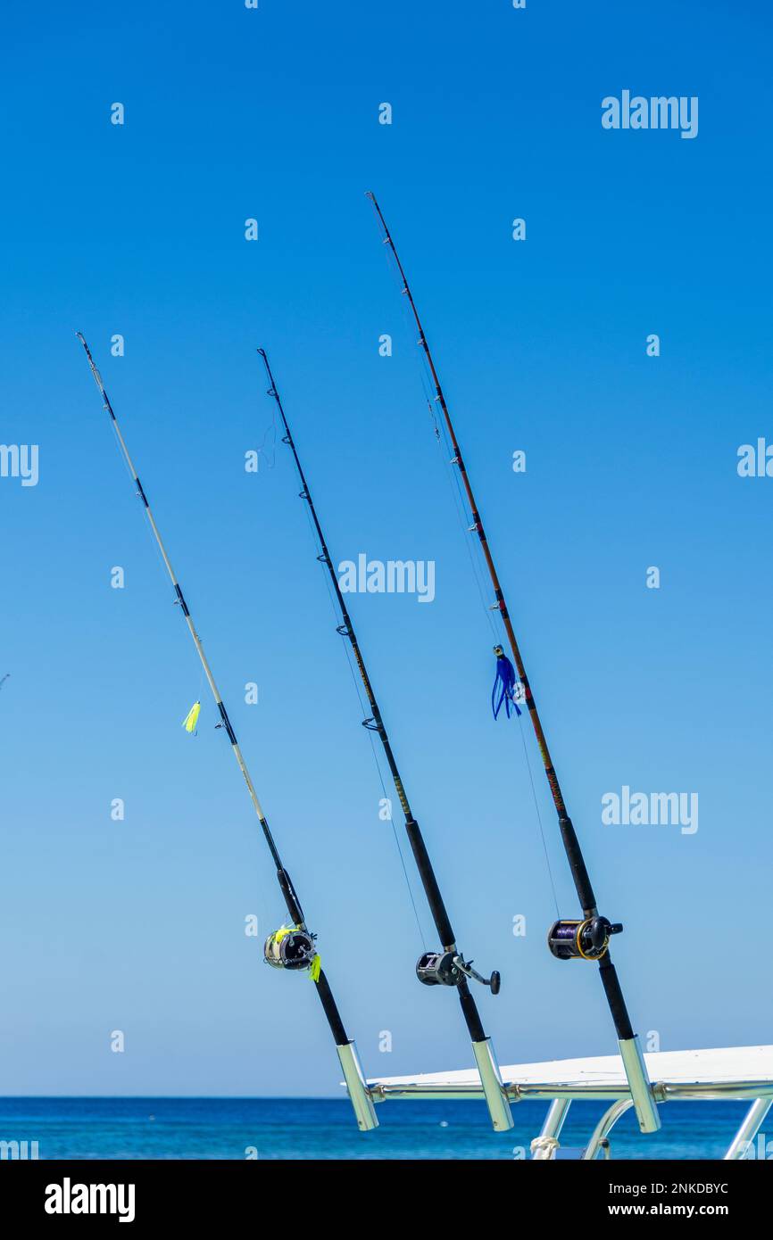 Uxcell Lot De 4 Fils De Pêche Transparents En Nylon Onofilaent