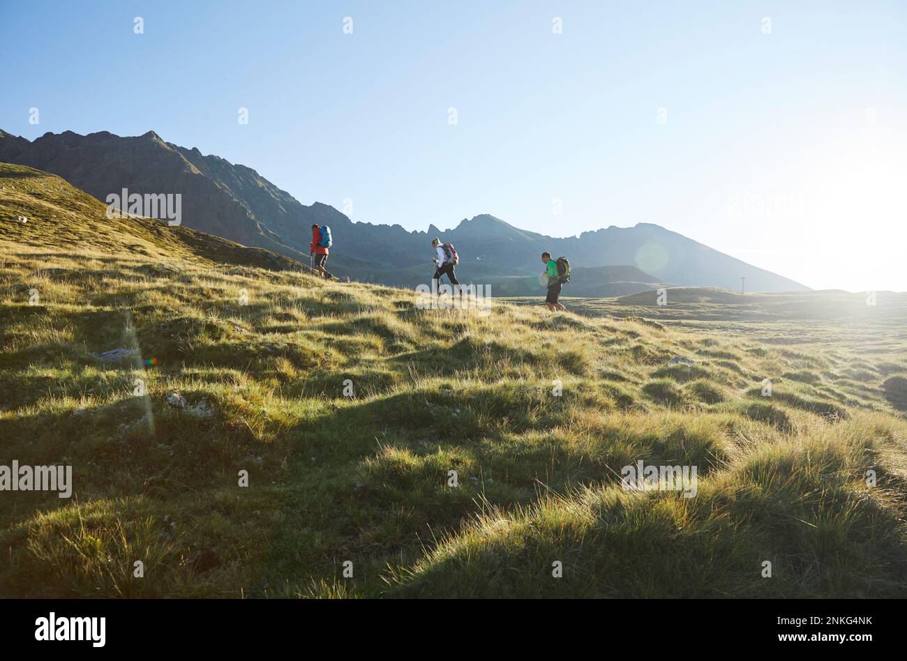Autriche, Tyrol, randonneurs éclairant le soleil voyageant à travers le paysage alpin vert en été Banque D'Images