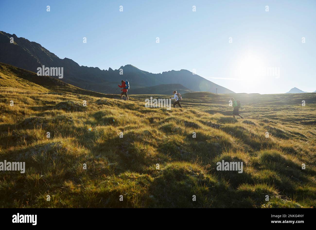 Autriche, Tyrol, randonneurs éclairant le soleil voyageant à travers le paysage alpin vert en été Banque D'Images