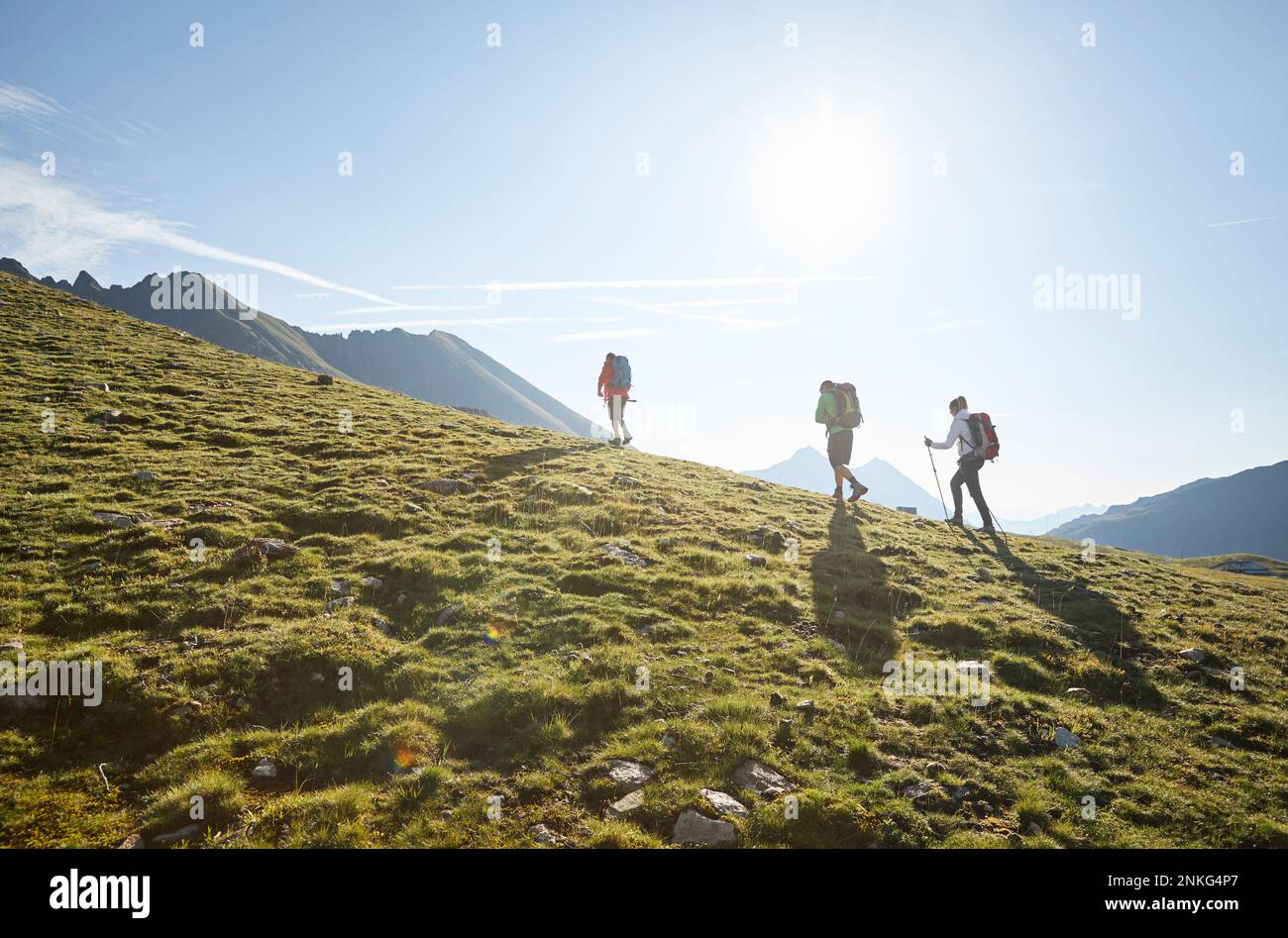 Autriche, Tyrol, randonneurs éclairant le soleil voyageant à travers le paysage alpin vert en été Banque D'Images