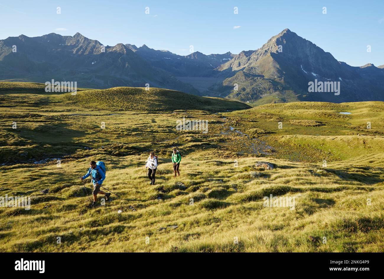 Autriche, Tyrol, randonneurs voyageant à travers le paysage alpin vert en été Banque D'Images