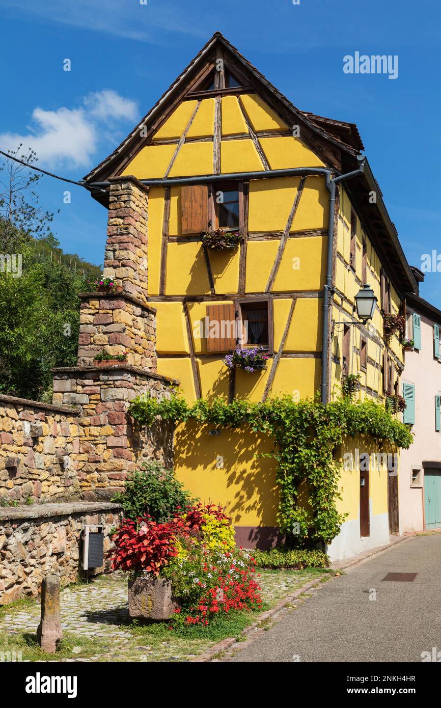 France, Grand est, Turckheim, fleurs d'été fleuries devant une maison à colombages Banque D'Images