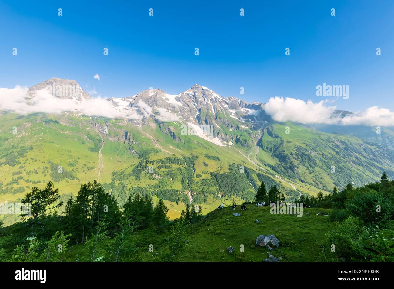 Autriche, Salzbourg, vue panoramique sur la vallée verdoyante d'été dans les Alpes européennes Banque D'Images