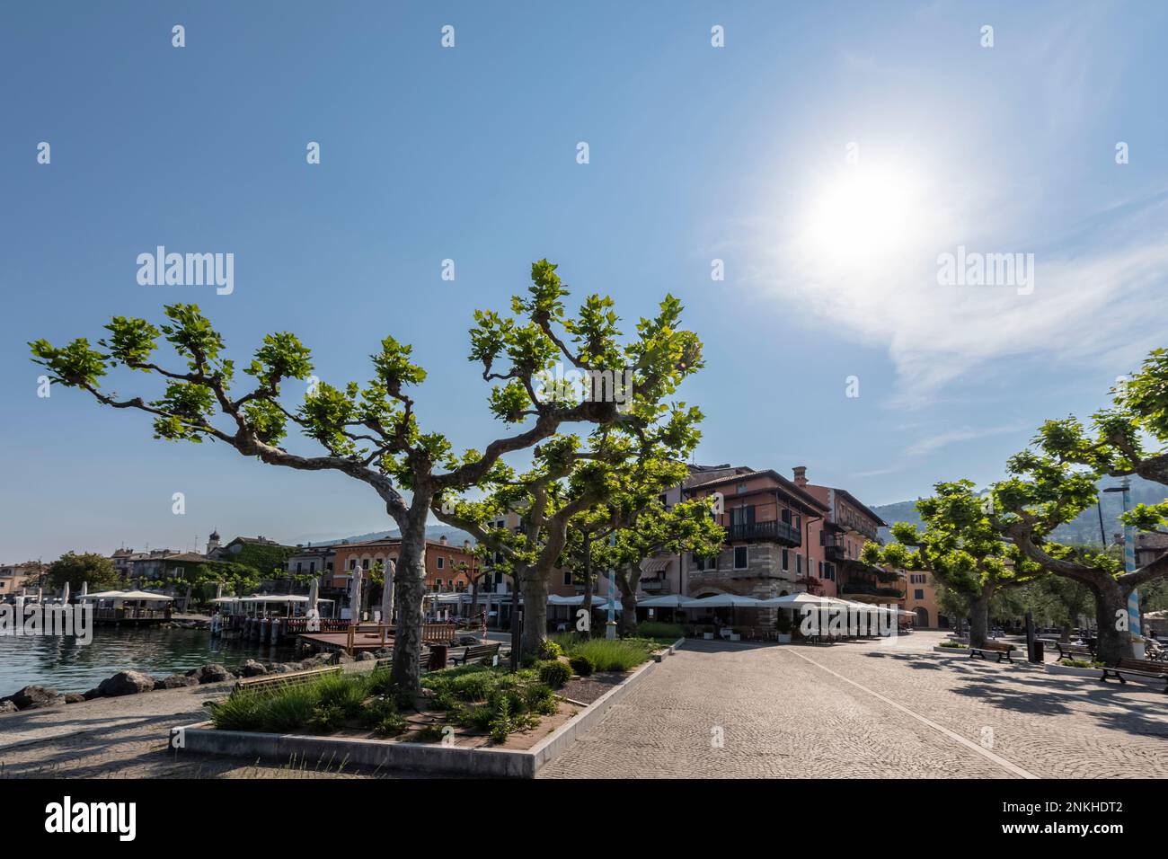 Italie, Vénétie, Torri del Benaco, soleil d'été brillant sur les arbres à Viale Guglielmo Marconi Banque D'Images