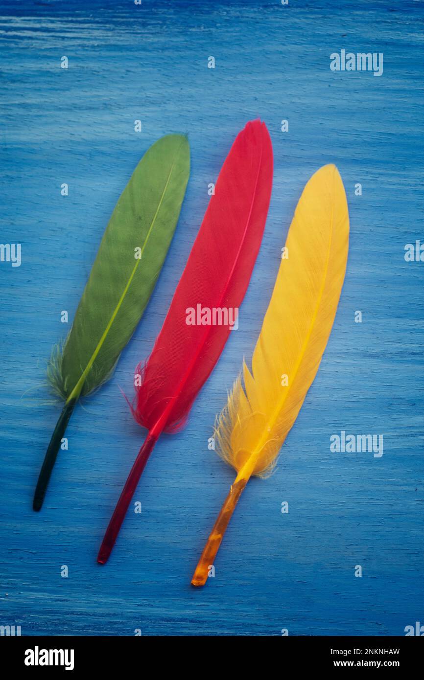 Plumes rouges jaunes et vertes sur fond bleu Banque D'Images