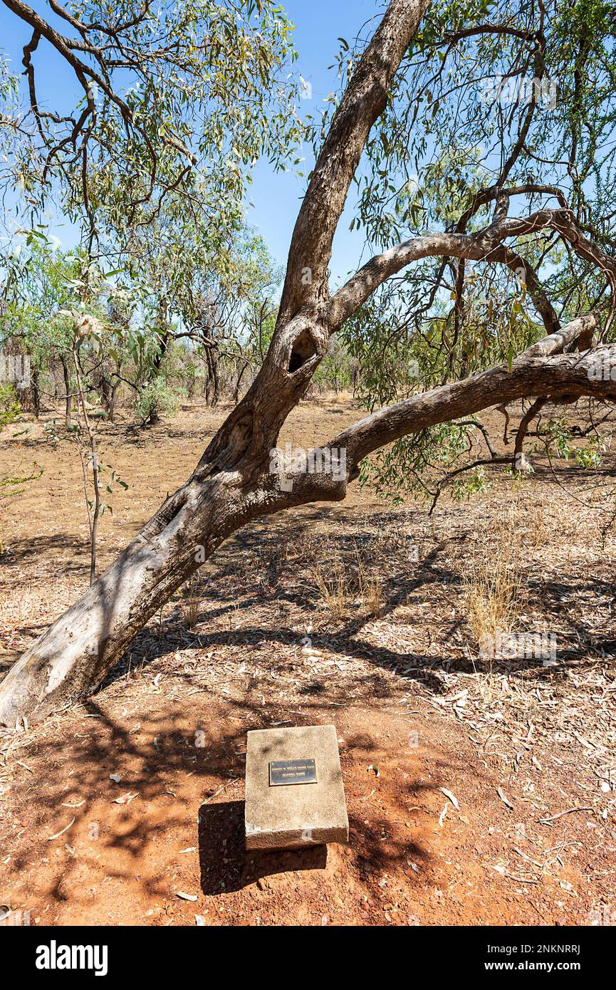 Burke et Wills arborent un arbre flamboyant dans le Camp historique 119 classé au patrimoine, une destination touristique populaire près de Normanton, Gulf Savannah, Queensland, Queensland, Queensland, Australie Banque D'Images