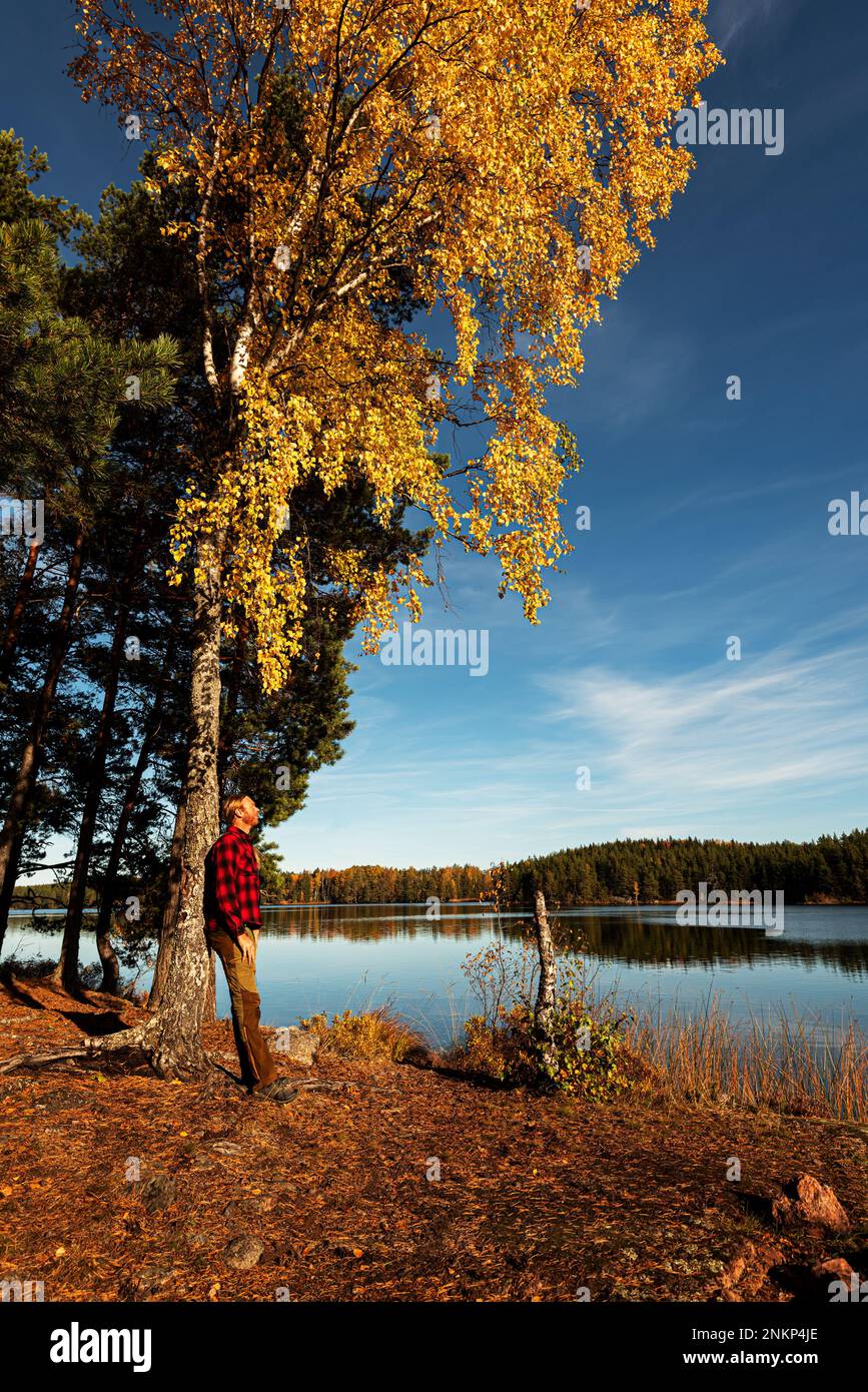 L'homme penchait l'arbre de l'Agianst en automne et appréciait le soleil chaud Banque D'Images