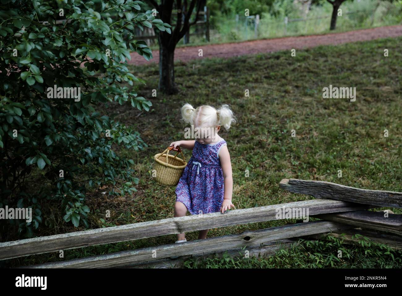 Jeune fille aux cheveux blonds portant un panier en osier et grimpant sur une clôture en bois Banque D'Images