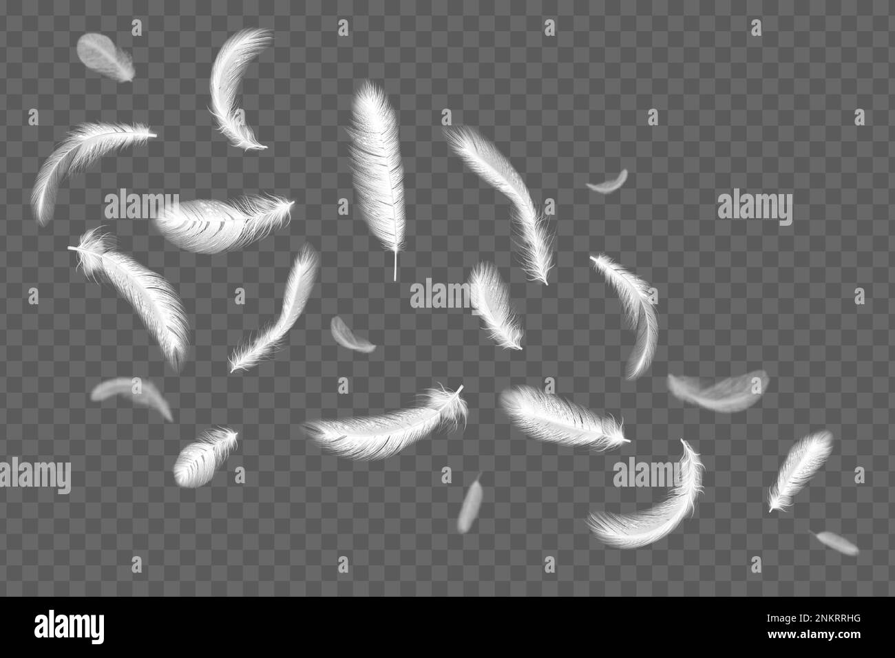 Plumes volantes blanches, plumage d'ange tombant, éléments d'ailes d'oiseau. 3d cadre lumineux isolé sur fond transparent, silhouette d'air de colombe ou de cygne, sof Illustration de Vecteur