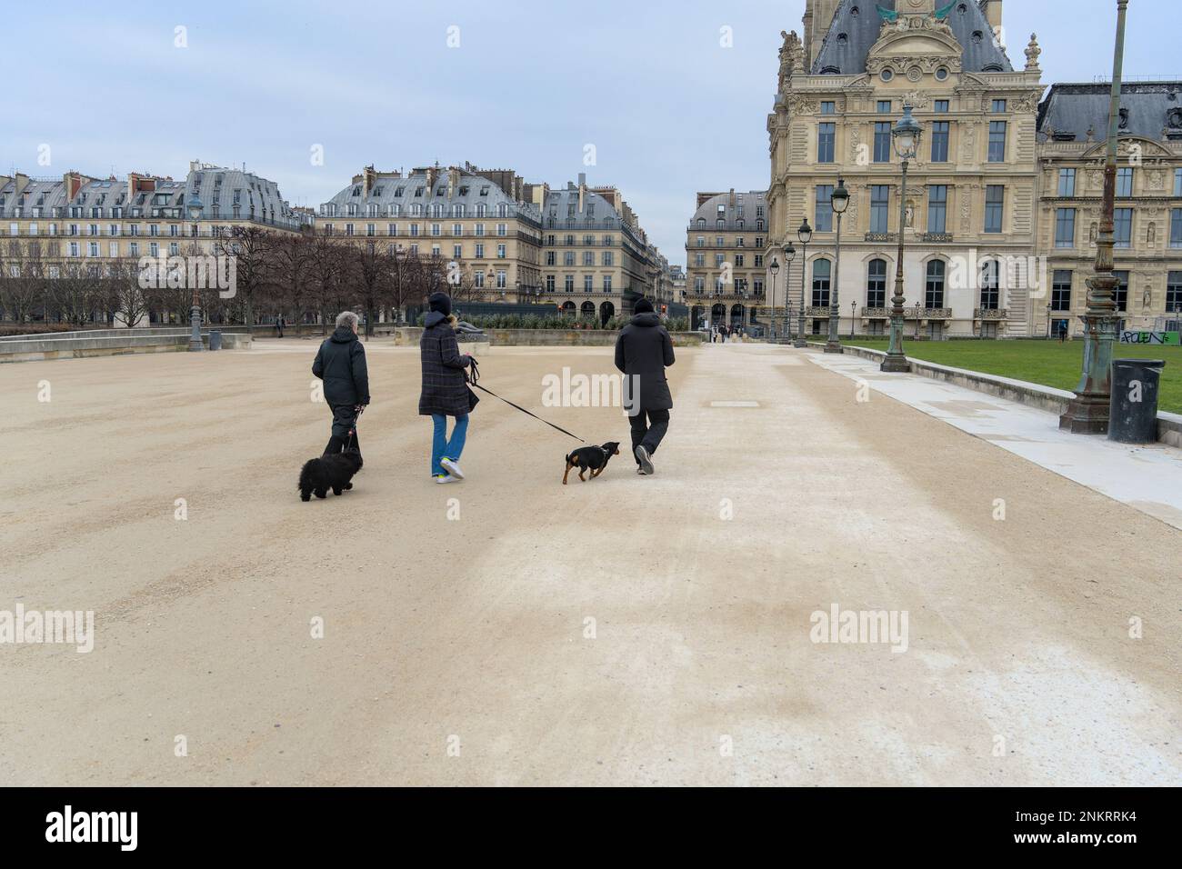 Les gens qui marchent leurs chiens en hiver. Le jardin des Tuileries à Paris Banque D'Images