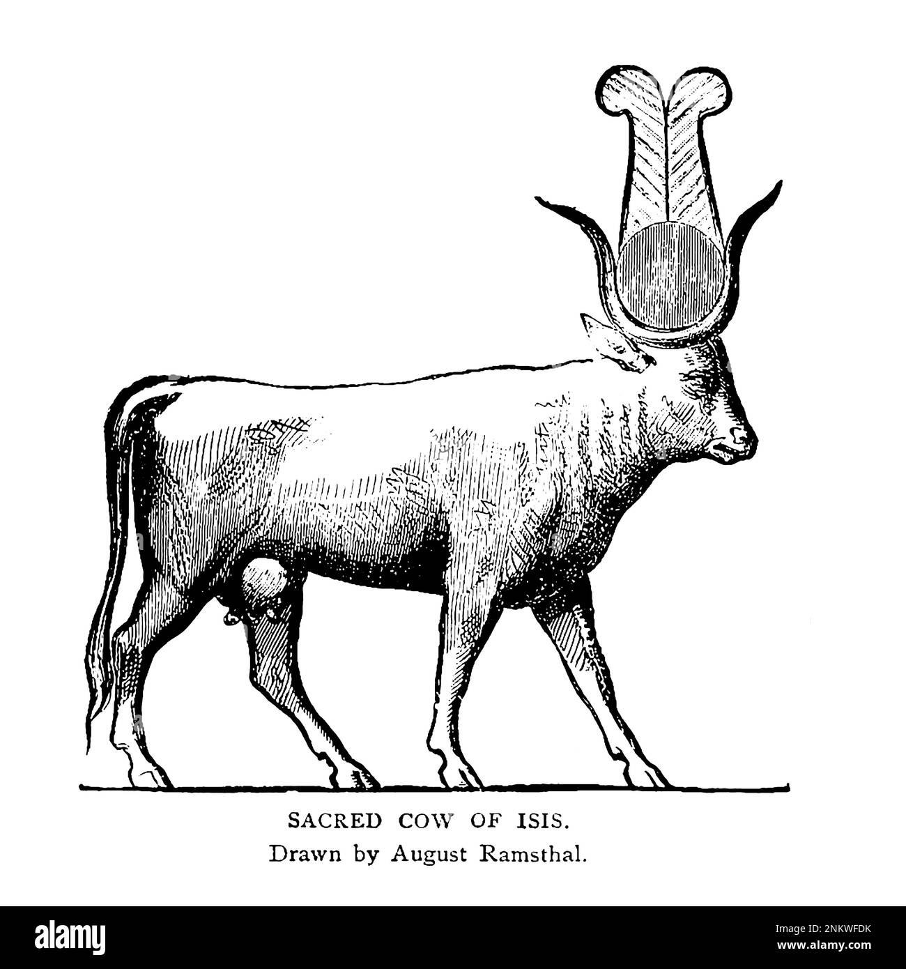 La vache sacrée d'Isis du livre XVIII les Hamites de Cyclopedia histoire universelle : embrassant la présentation la plus complète et la plus récente du sujet en deux parties principales ou divisions de plus de six mille pages par John Clark Ridpath, 1840-1900 Date de publication 1895 Editeur Boston : Balch Bros. Volume 6 Histoire de l'homme et de l'humanité Banque D'Images