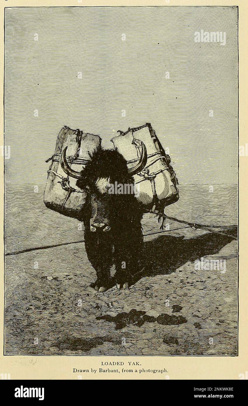 Loaded Yak the Brown races Malayo-Mongoloïdes de l'histoire universelle de Cyclopedia : embrassant la présentation la plus complète et la plus récente du sujet en deux parties principales ou divisions de plus de six mille pages par John Clark Ridpath, 1840-1900 Date de publication 1895 Editeur Boston : Balch Bros. Volume 6 Histoire de l'homme et de l'humanité Banque D'Images