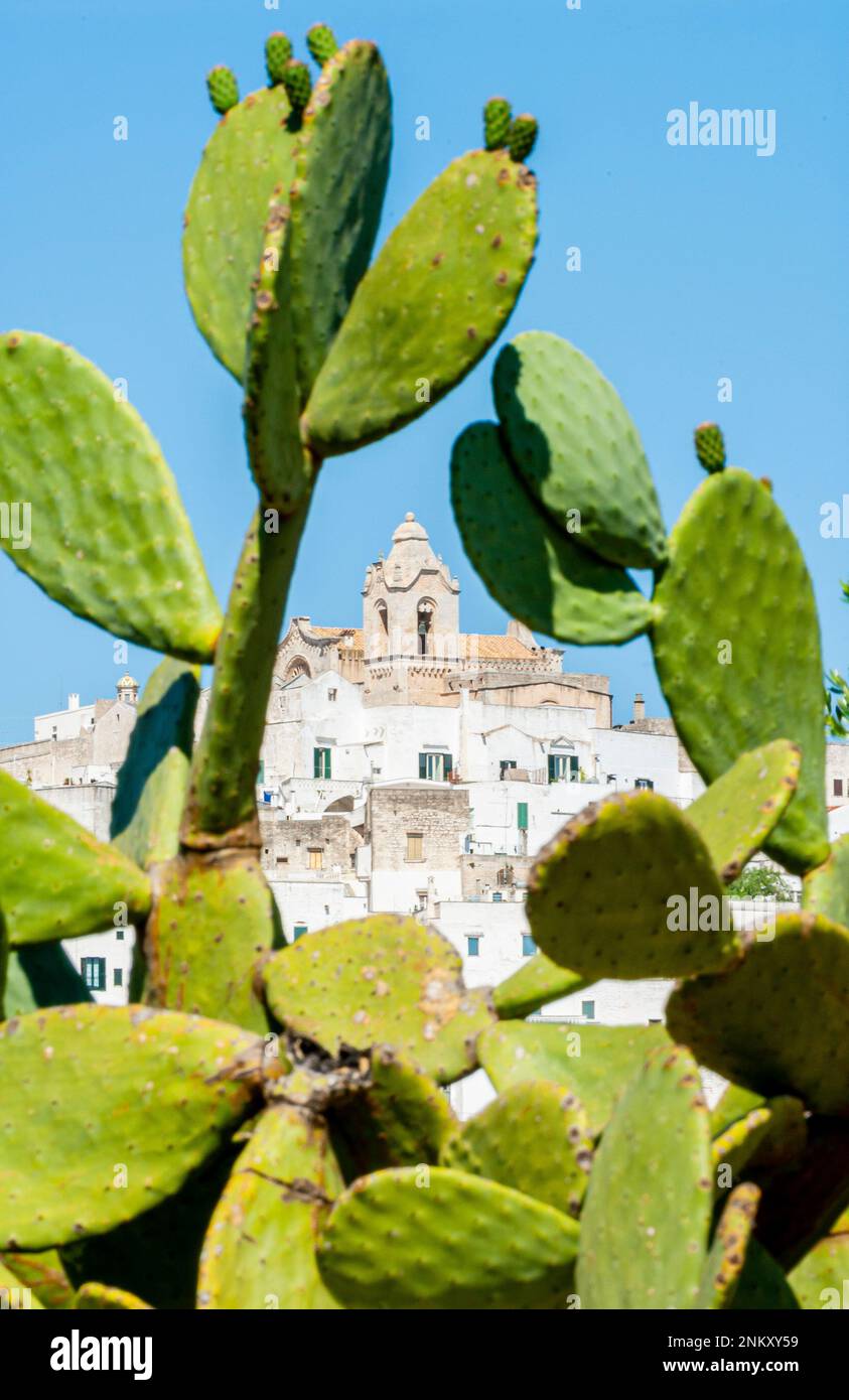 Ostuni(BR) - Apulia - Italie Banque D'Images