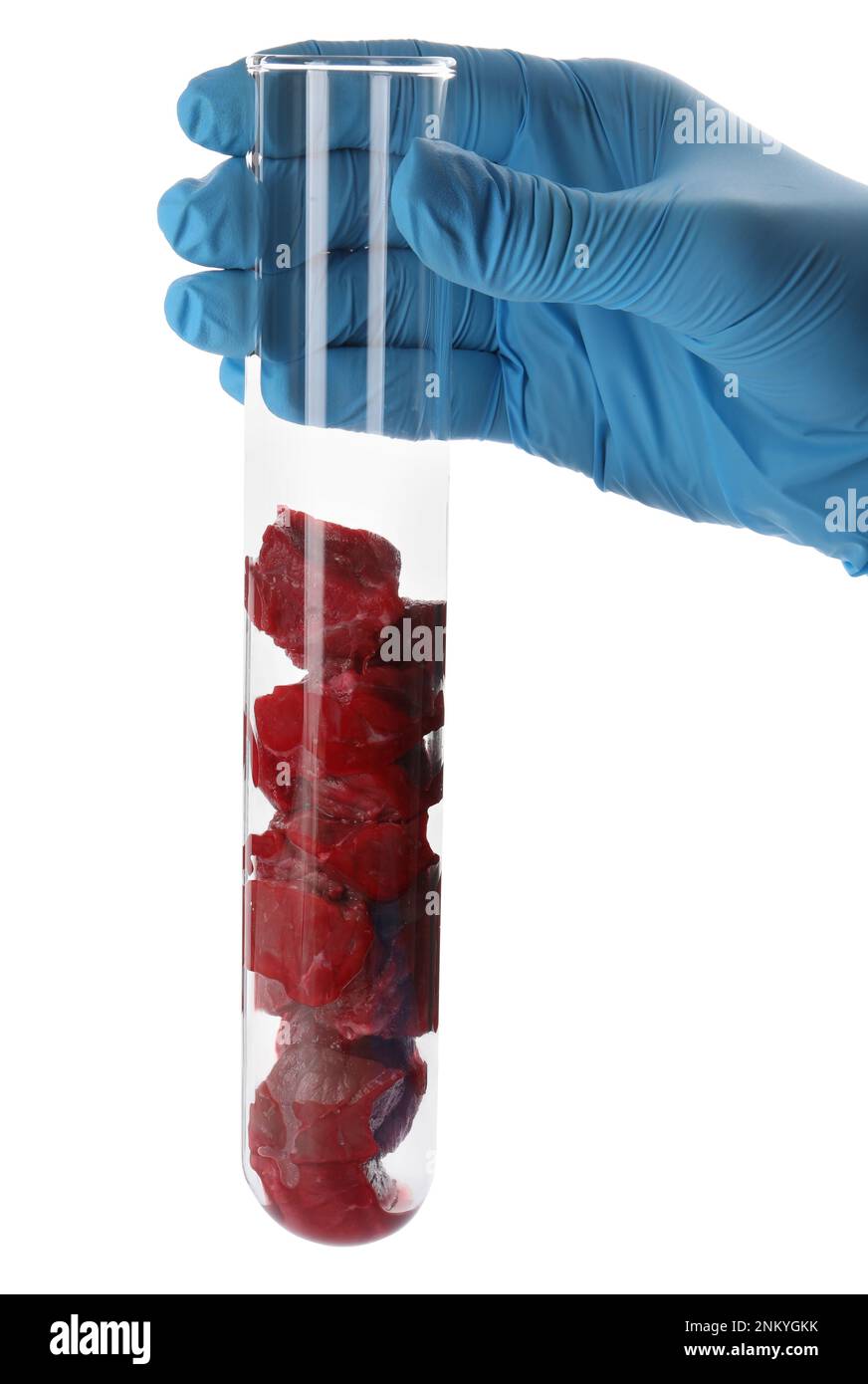 Un scientifique tenant un tube à essai avec des morceaux de viande crue de culture sur fond blanc, gros plan Banque D'Images