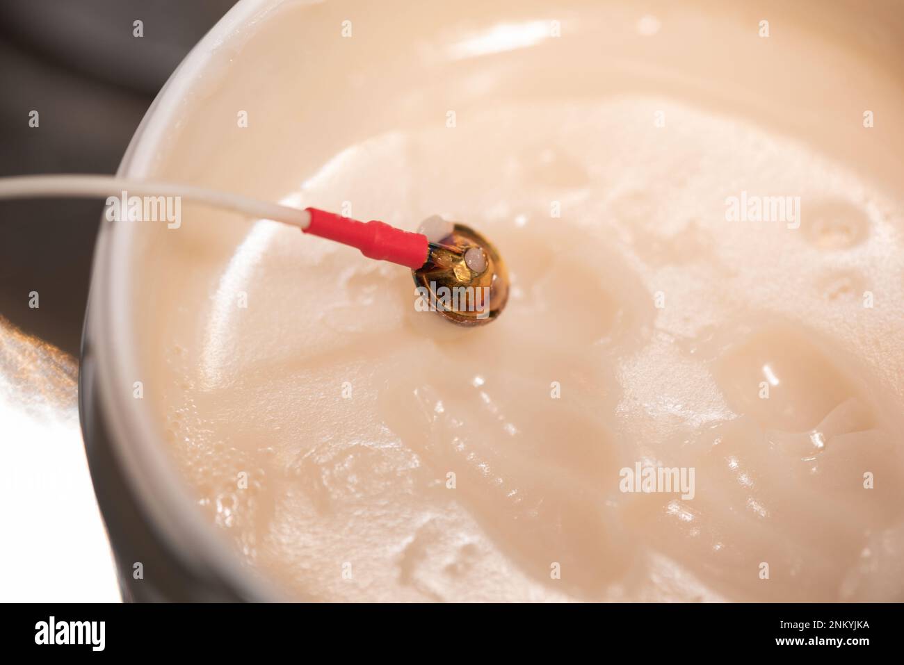Électrode EEG dans du gel pour la conduction électrique en préparation